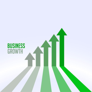 Did you struggle to grow your business in 2022?
Experience business growth now by doing these things in 2023